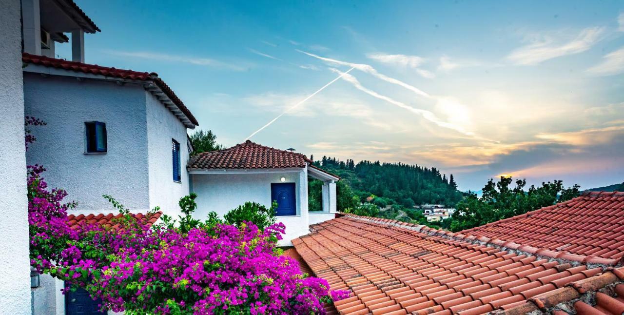 Hotel Elena Syvota エクステリア 写真